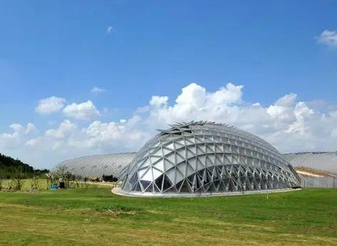 上海辰山植物園